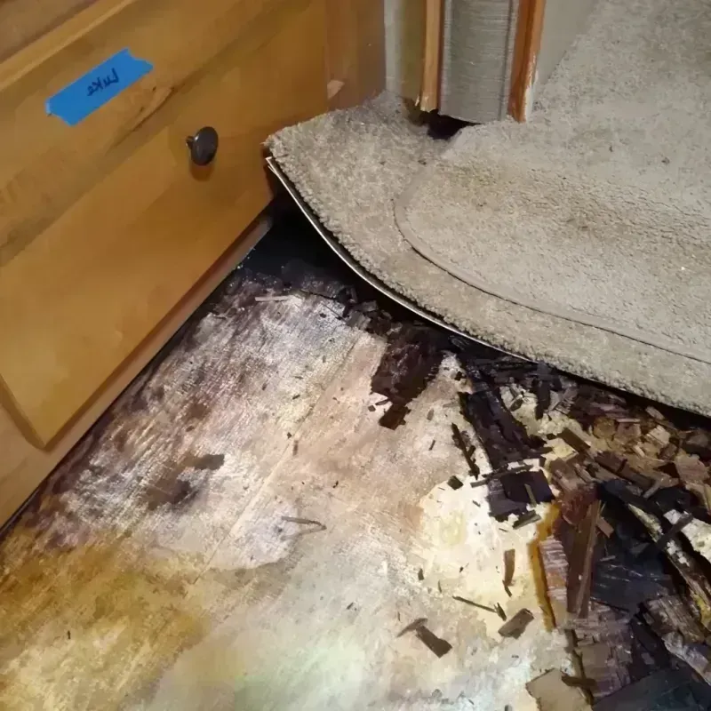 Best Wood Floor Water Damage Service in Sharonville, OH